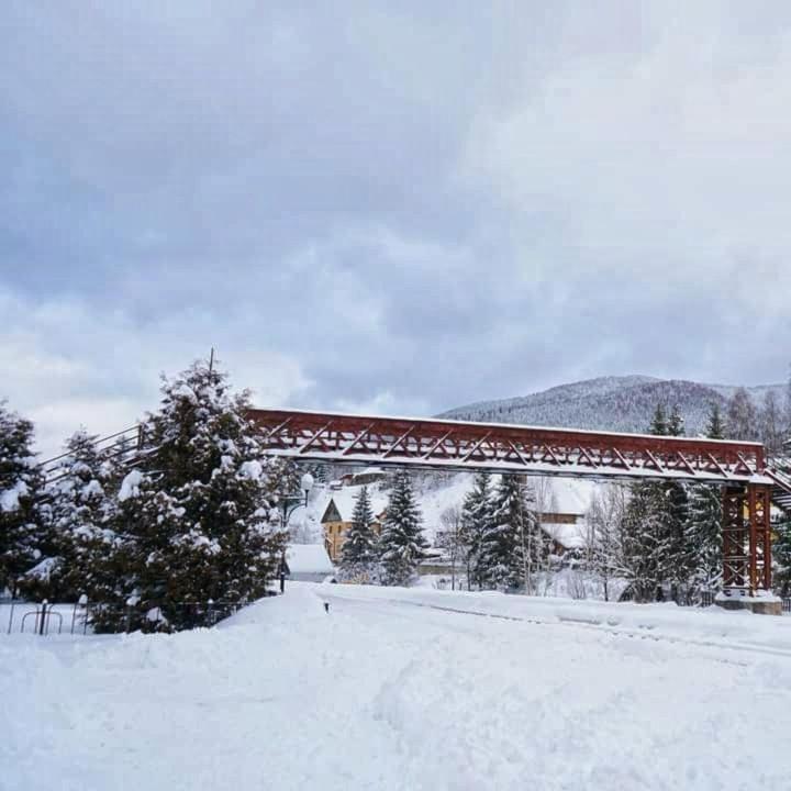 Говерлянка Villa Vorokhta Exterior photo